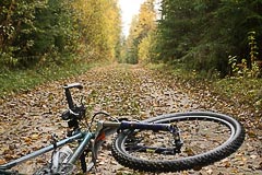 Велофрендли дорожка Велофрендли дорожка