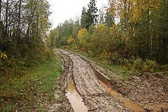 Дорога становится грязноватой Дорога становится грязноватой