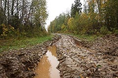 Дорога становится грязноватой Дорога становится грязноватой