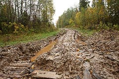 Дорога становится грязноватой Дорога становится грязноватой
