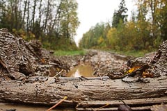Дорога становится грязноватой Дорога становится грязноватой