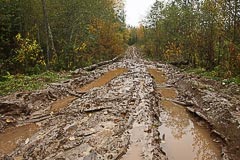 Дорога становится грязноватой Дорога становится грязноватой