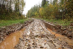 Дорога становится грязноватой Дорога становится грязноватой