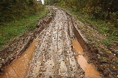 Дорога становится грязноватой Дорога становится грязноватой
