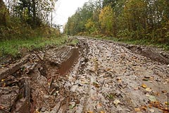 Дорога становится грязноватой Дорога становится грязноватой