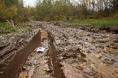 Дорога становится грязноватой Дорога становится грязноватой