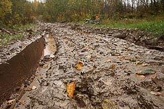 Дорога становится грязноватой Дорога становится грязноватой