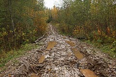Дорога становится грязноватой Дорога становится грязноватой