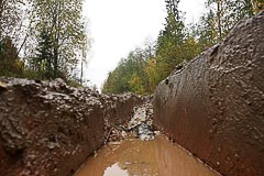 Дорога становится грязноватой Дорога становится грязноватой