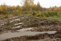 Урочище Смирник Урочище Смирник