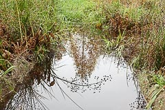 Урочище Смирник Урочище Смирник