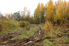 Урочище Смирник Урочище Смирник