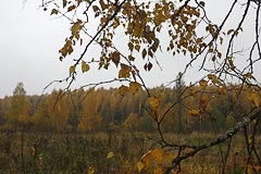Урочище Смирник Урочище Смирник