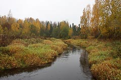 Река Пожупинка Река Пожупинка