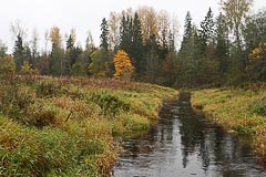 Река Пожупинка Река Пожупинка