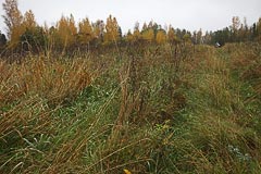 Урочище Смирник Урочище Смирник