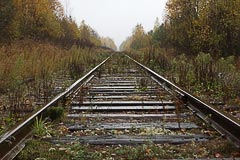 Железная дорога Будогощь — Тихвин Железная дорога Будогощь — Тихвин