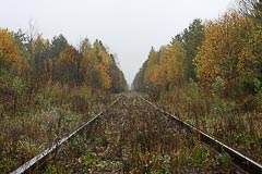 Разъезд № 2, вид в сторону Тихвина Разъезд № 2, вид в сторону Тихвина