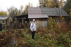 Сохранившаяся изба Сохранившаяся изба