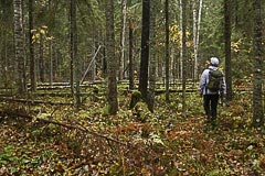 В поисках оборудования В поисках оборудования