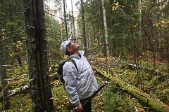Разглядывание деревьев в поисках оборудования Разглядывание деревьев в поисках оборудования
