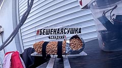 Проведать эклер прилетела муха Проведать эклер прилетела муха