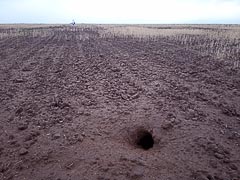 ���� ����� ������ ����� ������� ���������� �&nbsp;�������������