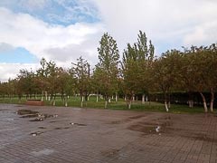 ���� ������������