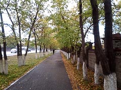 �������� ����������