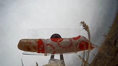 ����� ����� ������� ��&nbsp;����