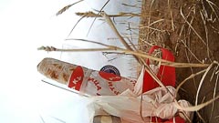 ����� ����� ������� ��&nbsp;����