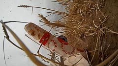 ����� ����� ������� ��&nbsp;����