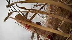 ��������� ���&nbsp;����� �&nbsp;�������� ��������� ������