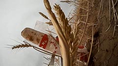 ��������� ���&nbsp;����� �&nbsp;�������� ��������� ������