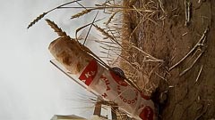 ��������� ���&nbsp;����� �&nbsp;�������� ��������� ������