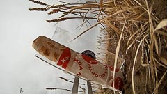 ��������� ���&nbsp;����� �&nbsp;�������� ��������� ������