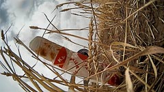 ��������� ���&nbsp;����� �&nbsp;�������� ��������� ������