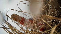 ��������� ���&nbsp;����� �&nbsp;�������� ��������� ������