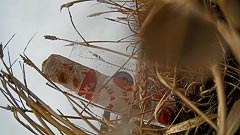 ��������� ���&nbsp;����� �&nbsp;�������� ��������� ������