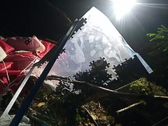 ������ �������� ����� �����������