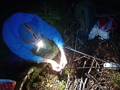 �������� ������� ����������� ����