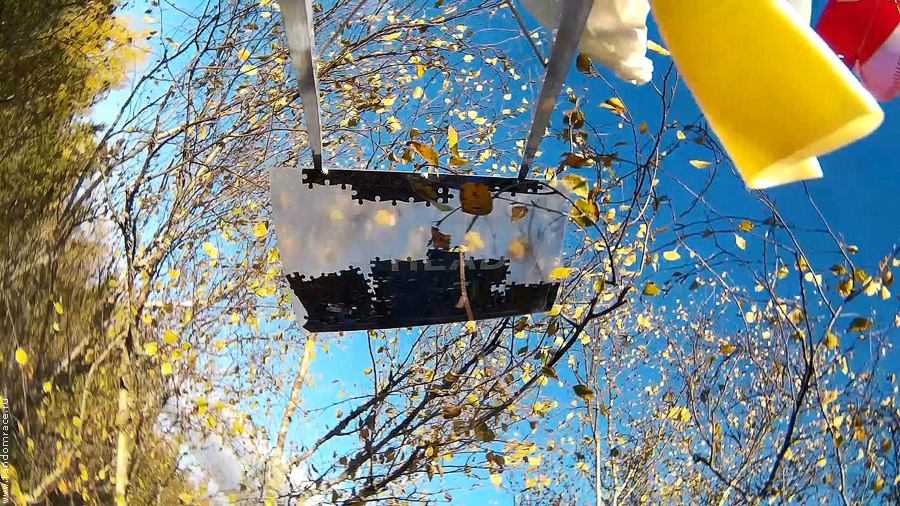 ������������ ������ ��&nbsp;�����