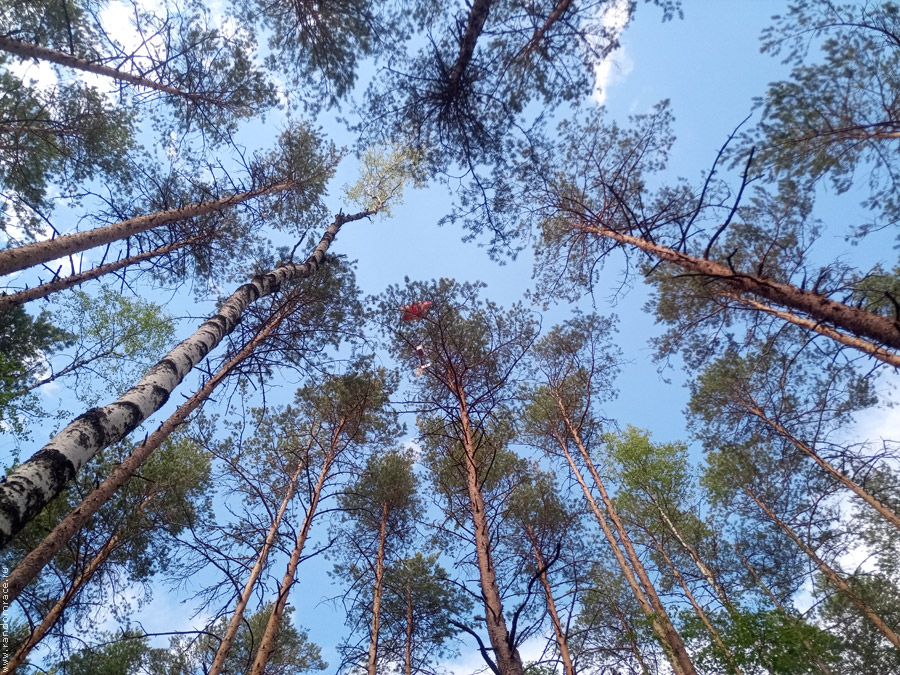 ������������ �&nbsp;������� ��&nbsp;������