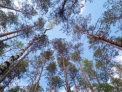 ������������ �&nbsp;������� ��&nbsp;������