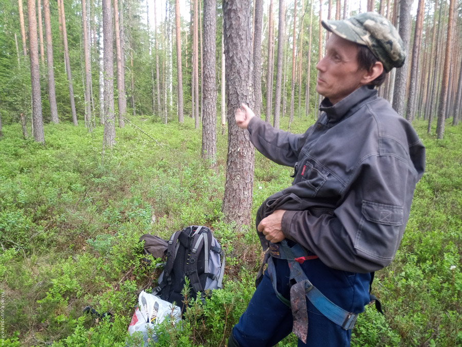 �������� �������� ������� ��������� ����� ��&nbsp;������