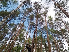 �������� �������� ������� ����� ��&nbsp;������