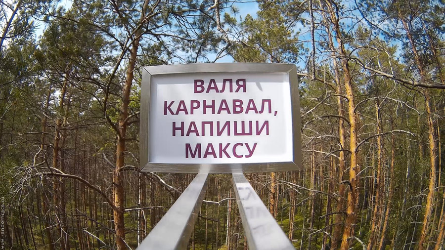 Оборудование висит на сосне Оборудование висит на сосне